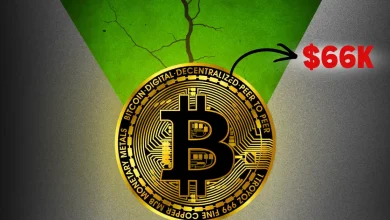 Bitcoin (BTC) Price Recovers Above $66,000—Is the Crypto Market at a Breaking Point