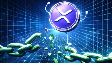 ‘XRP to $100 Is Not Crazy,’ Says Finance Insider Here’s Why