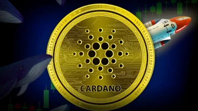 Cardano Price Prediction Is ADA About to Skyrocket as Whales Accumulation Signals Major Rally Ahead