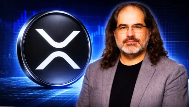 ‘We Designed XRPL So Ripple Could Not Control It’ David Schwartz Breaks Silence