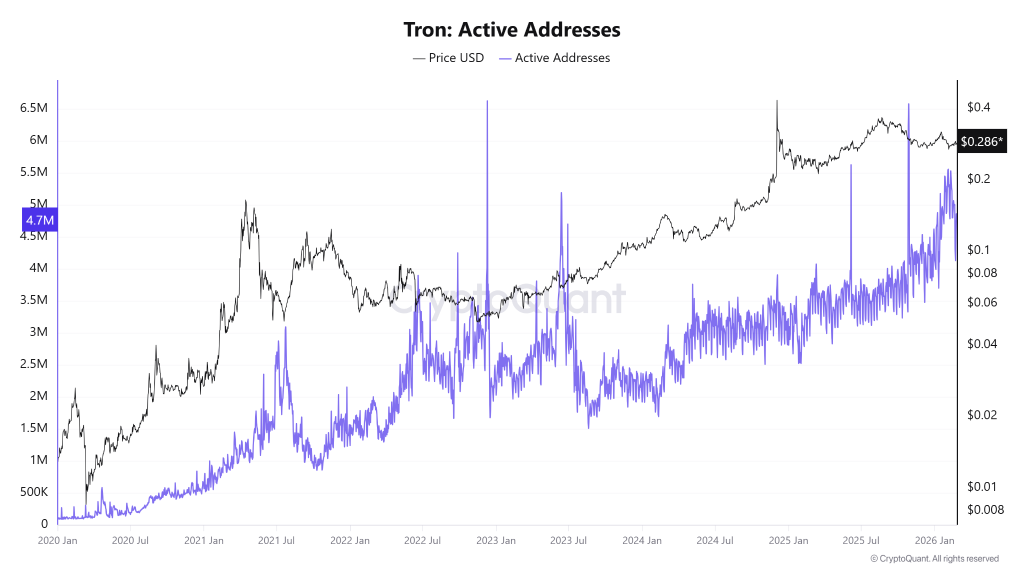 Are Active Addresses Raising Concerns for TRX? Could TRX Price Drop by 50%? 