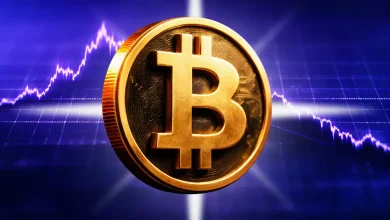 Bitcoin Price Prediction by Wikipedia Co-Founder $10,000 or Lower for BTC