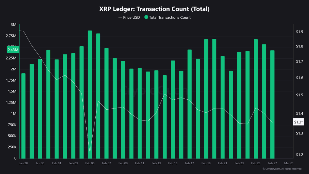 XRP ledger data