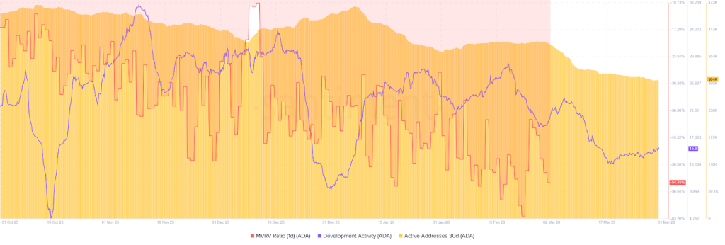 Cardano (ADA) On-Chain Analysis