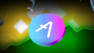 AAVE Price Recovers as Binance Outflows Rise: Accumulation Underway?