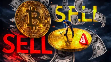 Core Scientific News Bitcoin Miner to Sell All 2,537 BTC After Weak Q4 Earnings