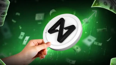 Why Is NEAR Protocol Price Rising Today Key Drivers Behind the Rally