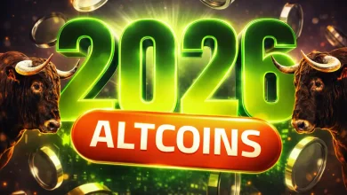 Is Altseason Coming Top Indicators You Need to Watch