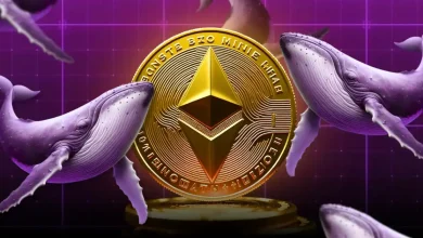 Ethereum Price Analysis Institutional Buying Returns as Whales Accumulate – Rally Coming
