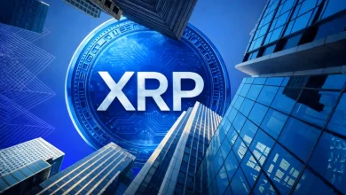 Ripple Executive Says XRP May Become the ‘Glue’ of Blockchain Finance