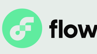 Why Is Flow (FLOW) Coin Price Up Today