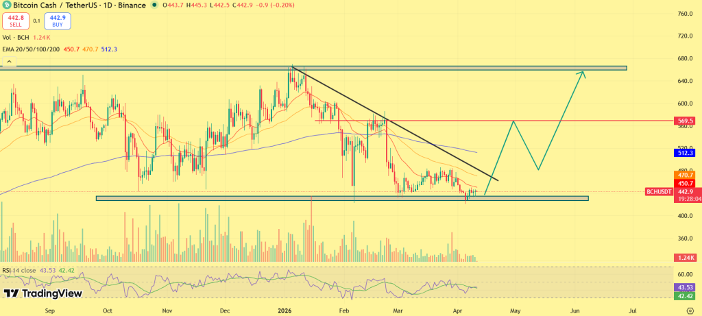 Bitcoin cash price prediction
