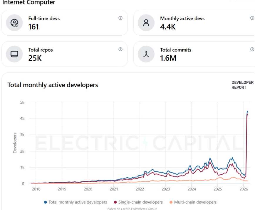 ICP developer data