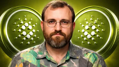 Charles Hoskinson Just Revealed a Plan to Make Cardano’s Treasury Pay for Itself