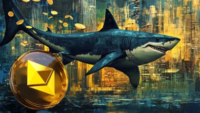 Solana meme coins (14)