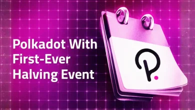 Pi Day Brings Big Changes to Polkadot With First-Ever Halving Event: Here’s Everything You Need To Know