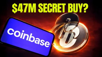 Nansen Flags $47.5M ZRO Accumulation Across 9 Wallets ‘This Isn’t Retail’