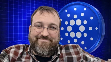 Charles Hoskinson Posted a Smiling GIF, and the Reason Behind It Changes Cardano Forever