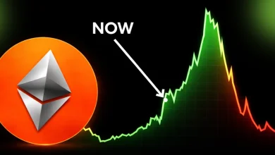 Ethereum (ETH) Price Rally Incoming Whales and Charts Say the Same Thing