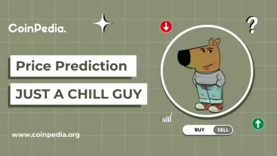 Chill Guy price prediction