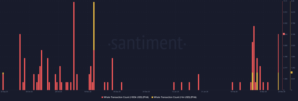 PHA Price Explodes After Bithumb Listing Sparks Massive Outflows and Whale Activity