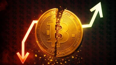 Bitcoin Miners Are Losing $20,000 Per Coin, So Why Have They Stopped Selling