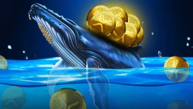 Is XRP Price Undervalued Right Now Whales and Data Point to a Shift