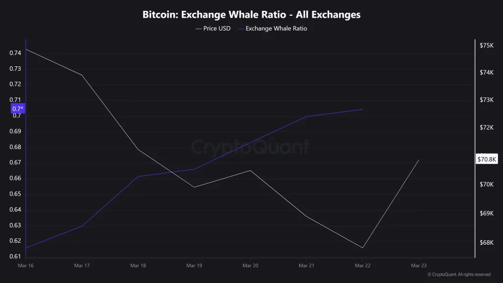 Bitcoin Exchange Whale Ratio