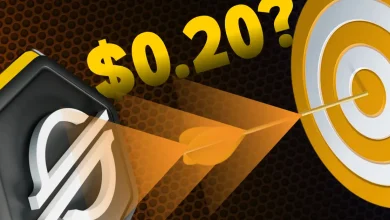 Stellar Eyes a Breakout as Network Activity Spikes to 114K Users—Will XLM Price Make it to $0.20