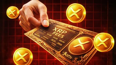 XRP Fees Suddenly Spike Ripple CTO Explains What’s Happening