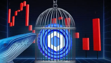 Chainlink Whales Accumulate as LINK Supply Shrinks—Why Is Price Still Stuck