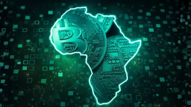 Africa Crypto Adoption Surges as Ripple Executive Highlights $205 Billion On-Chain Growth