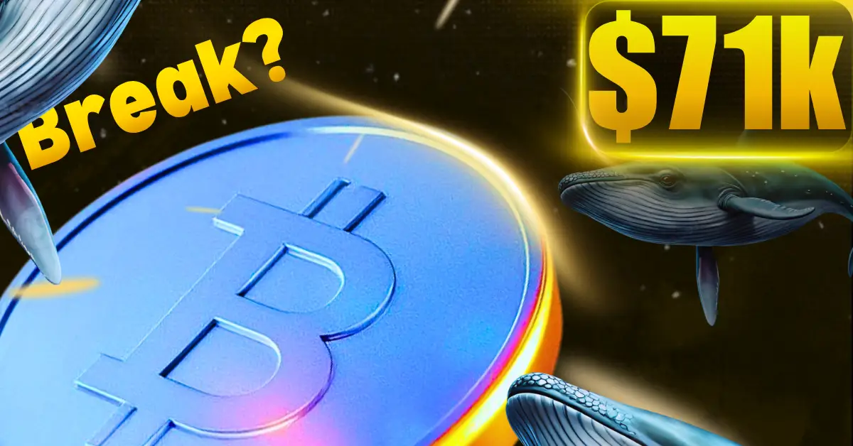 Bitcoin Holds $65K Support as Whale Activity Rises—Will BTC Price Break $71K Next?