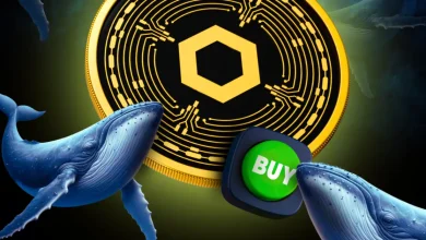 Chainlink (LINK) Sees Rising Whale Accumulation as Binance Outflows Spike