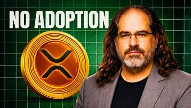 Ripple CTO Shuts Down XRP’s Biggest Bank Adoption Concern in 1 Sentence