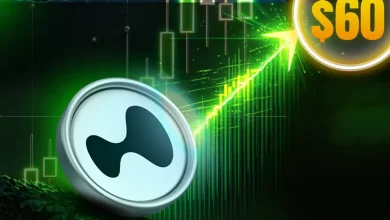 Hyperliquid Price Prediction Momentum Builds – Is $60 the Next Target
