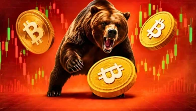 Bitcoin Bear Market In Its Final Stage 2 On-Chain Signals to Know Before Your Next Trade