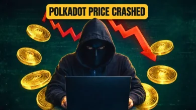 Polkadot Exploit 1B DOT Minted, Dumped for $237K, Price Crashed