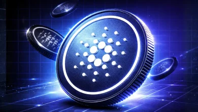 Cardano Price News Why $0.243 Support Could Decide Whether ADA Hits $0.30 or $0.10