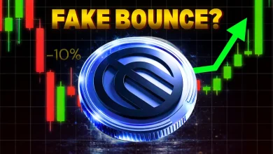 Worldcoin Drops 10% Despite Easing Market Pressure — Can WLD Reclaim $0.30