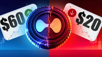 Hyperliquid (HYPE) Price Outlook Rally to $60 or Crash to $20 Next