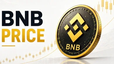 bnb-price