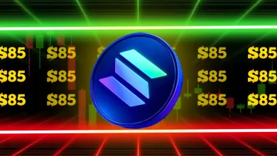 Are you also doing freelancing along with this?