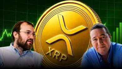 Analyst to Charles Hoskinson Ripple’s SEC Victory Gave Crypto the Legal Clarity You Now Benefit From