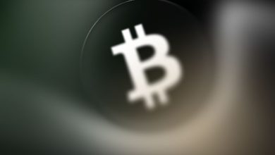 Solana meme coins (29)