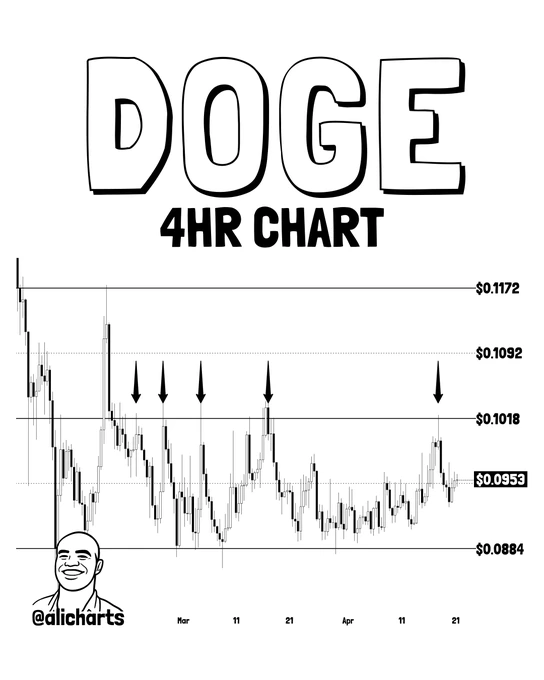doge-chart