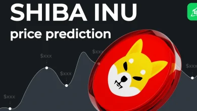 shiba-inu
