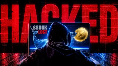A hooded hacker sitting in front of a laptop showing a "Hacked" warning, a crypto whale, and an Ethereum coin with text overlay "$800K Lost."