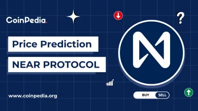 Near Protocol Price Prediction