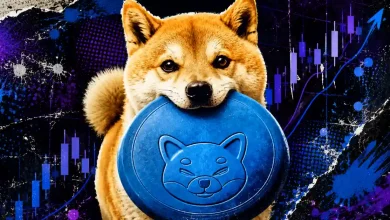Asteroid Shiba Price Down 14% as Mystery Trader Cashes In After 731,000% Rally